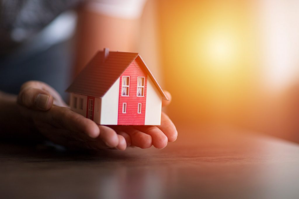 person holding small house in hands