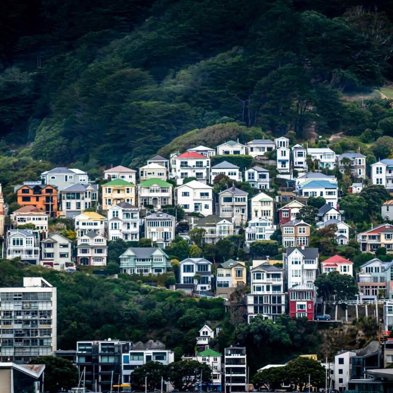 Wellington landscape of residential properties